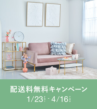 \\ 配送料無料キャンペーン🚚🩵 //