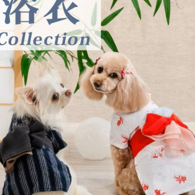 毎年大人気⭐浴衣＆法被が入荷しました🎆