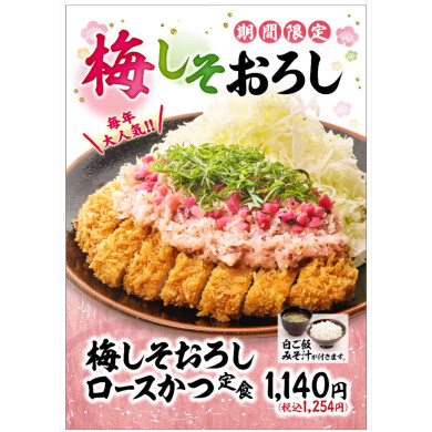 【期間限定】梅しそおろしかつ定食販売中