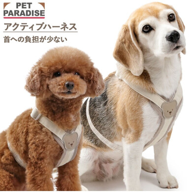 新作⭐アクティブハーネス⭐ショルダーリードが入荷しました🐕💕