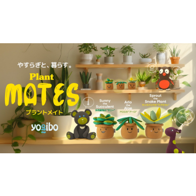 新商品　Plantシリーズ