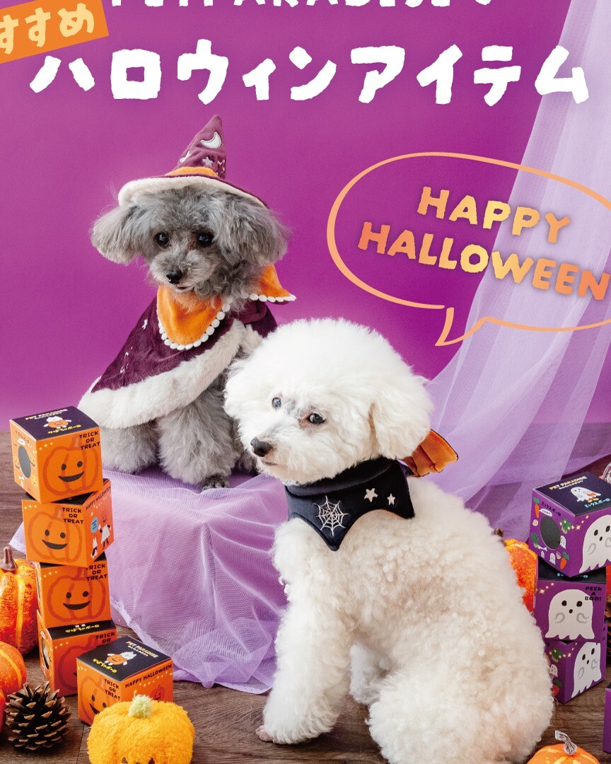 毎年大人気⭐ハロウィン🎃🎃アイテムが今年も入荷しました💕 │PET