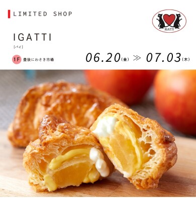 IGATTI