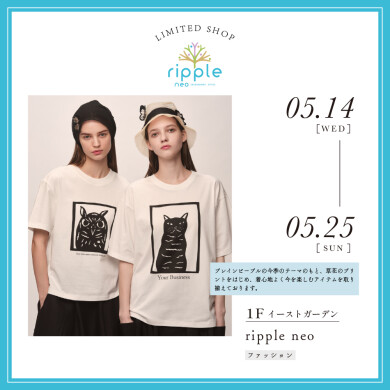 ripple neo