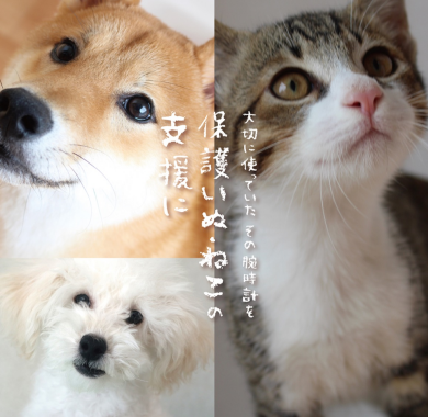 腕時計下取り開催！
