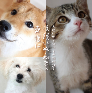 腕時計の下取り開催！