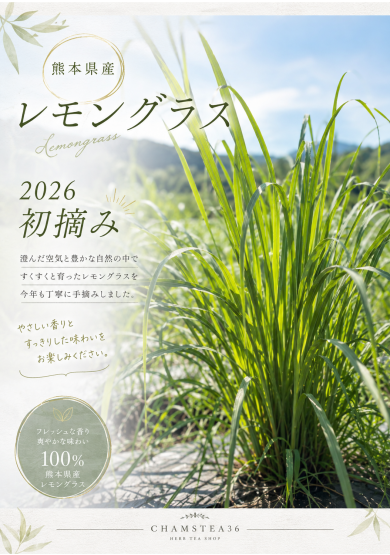 2026年初摘レモングラス発売！！