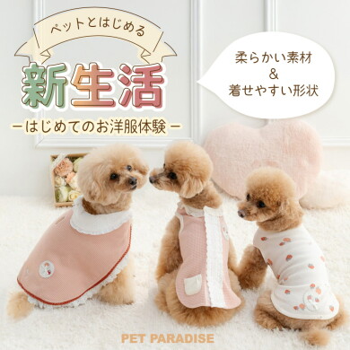 ウェルカムフェア🎉🎉春物の新作が入荷いたしました🌸🌸