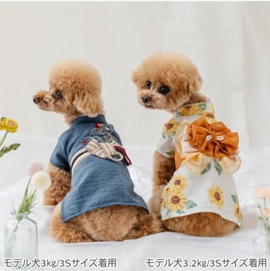 毎年大人気⭐浴衣&甚平が入荷いたしました🎆✨✨