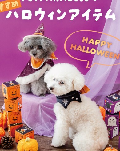 毎年大人気⭐ハロウィン🎃🎃アイテムが今年も入荷しました💕