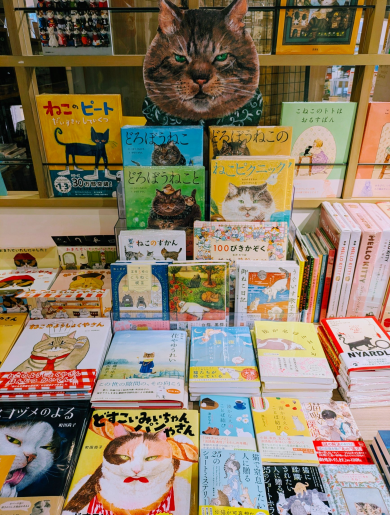 猫の日フェア開催中🐈