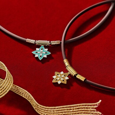 2025年特別限定モデルの登場💖