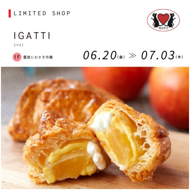 IGATTI
