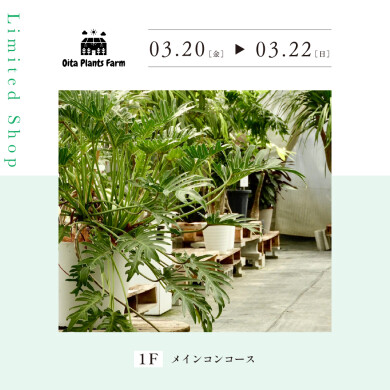 おおいたボタニカルフェスティバル by Oita Plants Farm