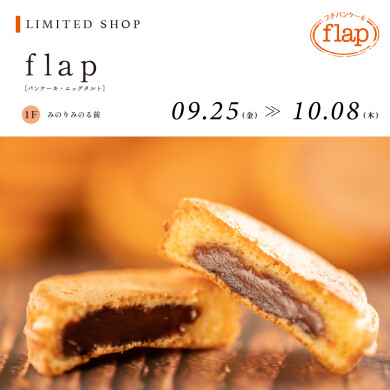 【9.25～10.8】flap