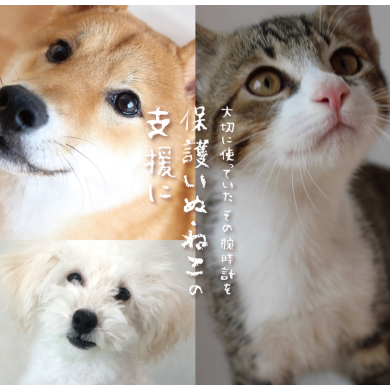 腕時計下取り開催！