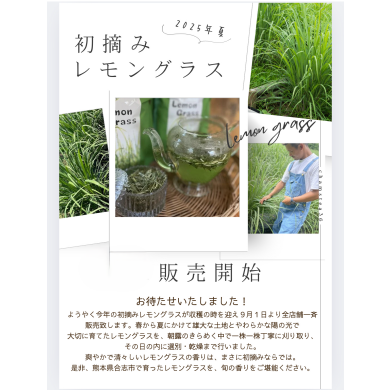 9/1より初摘レモングラス発売！