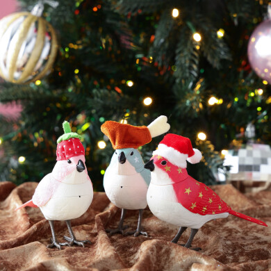 クリスマスらしい装いのミュージックバードが今年も登場🐥🌈