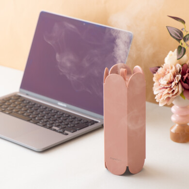 【NEW✨】持ち運べる便利さが魅力の加湿器が新登場！