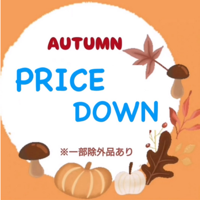 ☆PRICE  DOWN☆