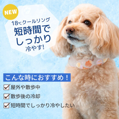 これからの季節にオススメ🍉クールリングが入荷しました🐶⭐