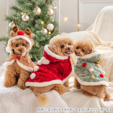 予約済クリスマス前倒しSale✦謹賀新年・着ぐるみくまちゃん兄弟＆クリスマス✦ PET PARADISE plus │ ショップブログ │ アミュプラザおおいた 公式サイト