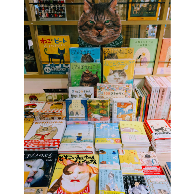 猫の日フェア開催中🐈