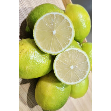 【緊急告知】急遽開催、決定――！